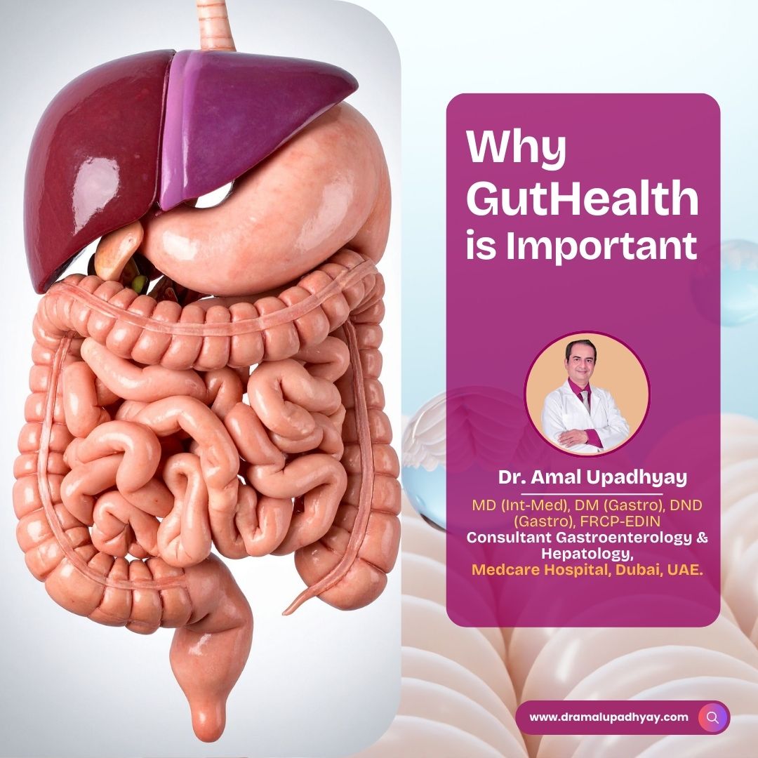 Why Gut Health is Important